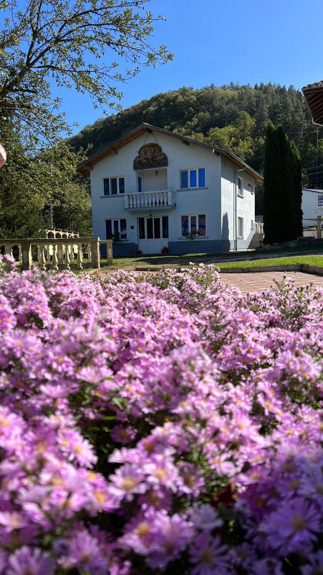 Vacation Home Yoanna Trjavna Eksteriør bilde